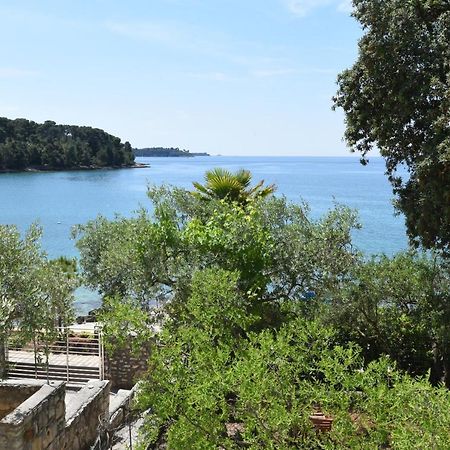 Buric House - Apartments Klasik And Studio Mini Rovinj Dış mekan fotoğraf