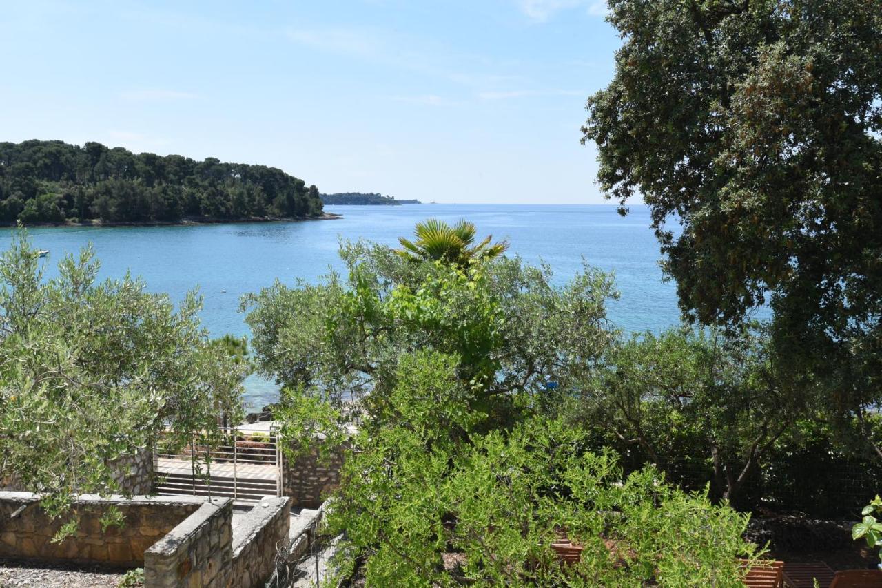 Buric House - Apartments Klasik And Studio Mini Rovinj Dış mekan fotoğraf